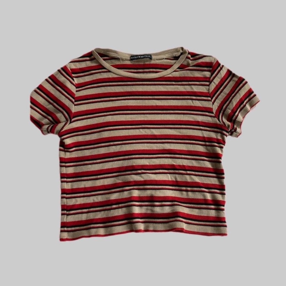 Brandy Melville 90s Stripe Brown and Red Ribbed Short Sleeve Crop Baby Tee EUC